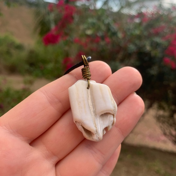 *SOLD* Sea tumbled horse tooth drilled necklace - Picture 5 of 5